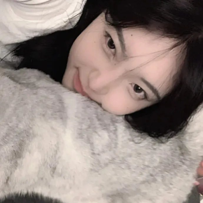 谍报飞龙